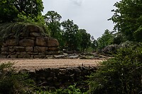 DSC04575