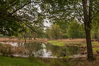 DSC04450