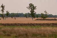 DSC04496