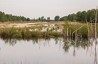 DSC04498