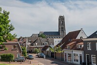 DSC05514