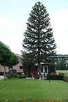 DSC06222