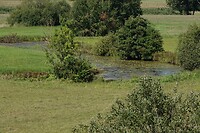DSC06286