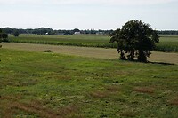 DSC06287