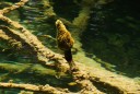 plitvice