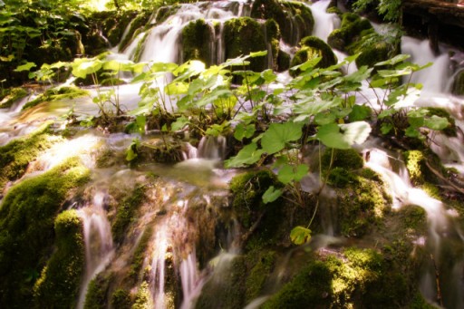 plitvice