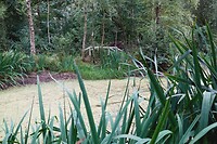 DSC06302