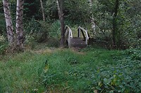 DSC06306