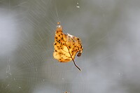 DSC06337