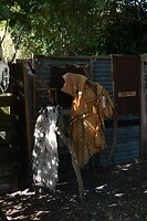 DSC06566