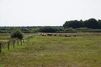 DSC06567