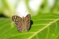 DSC06359