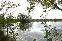 DSC06485