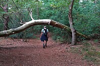 DSC06534