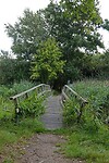 DSC06406