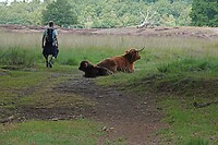 DSC06416