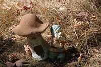 DSC06569
