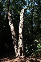 DSC06570