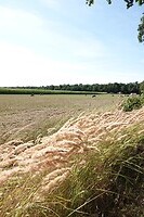 DSC06589