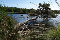DSC06605