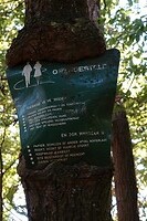 DSC06643