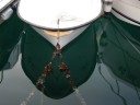 spiegeling