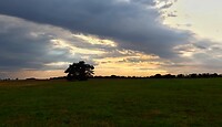 20220907_175221-01