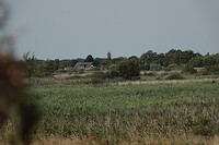 DSC06748