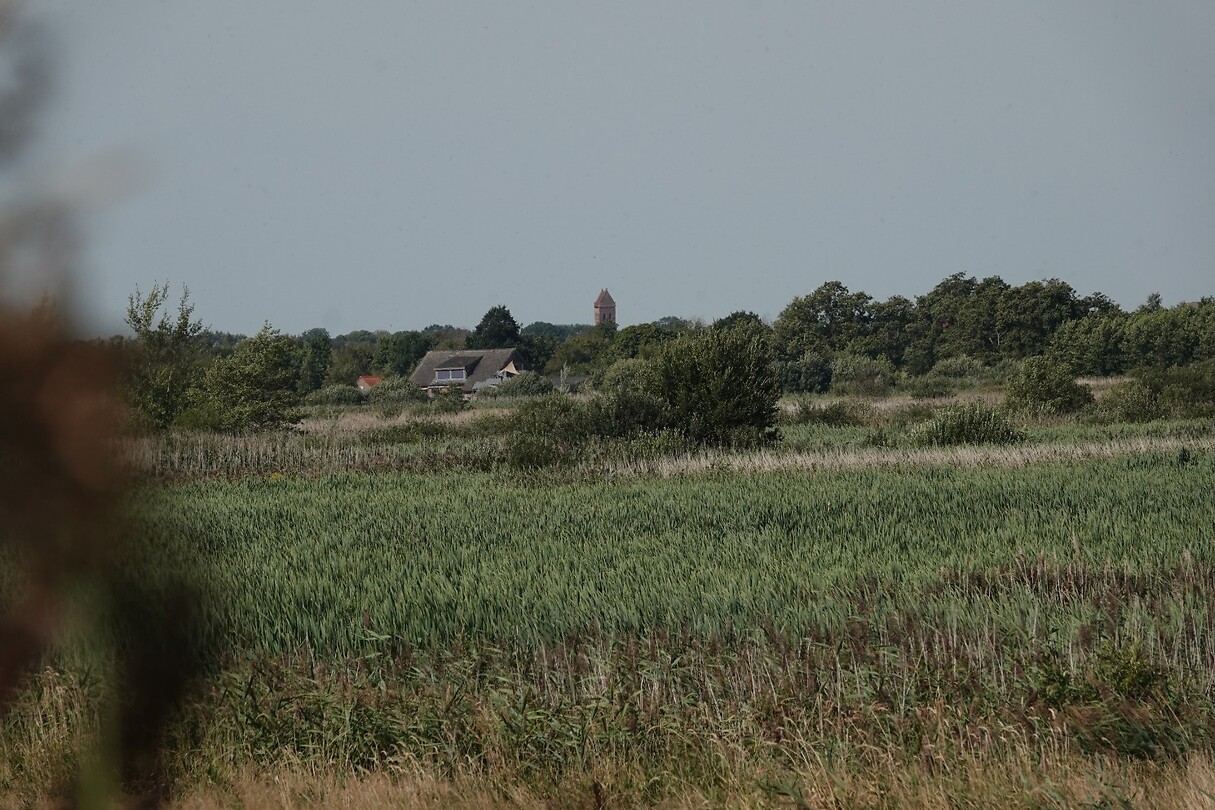 DSC06748