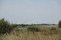 DSC06767