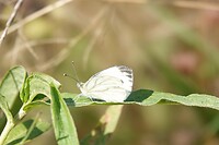 DSC06779