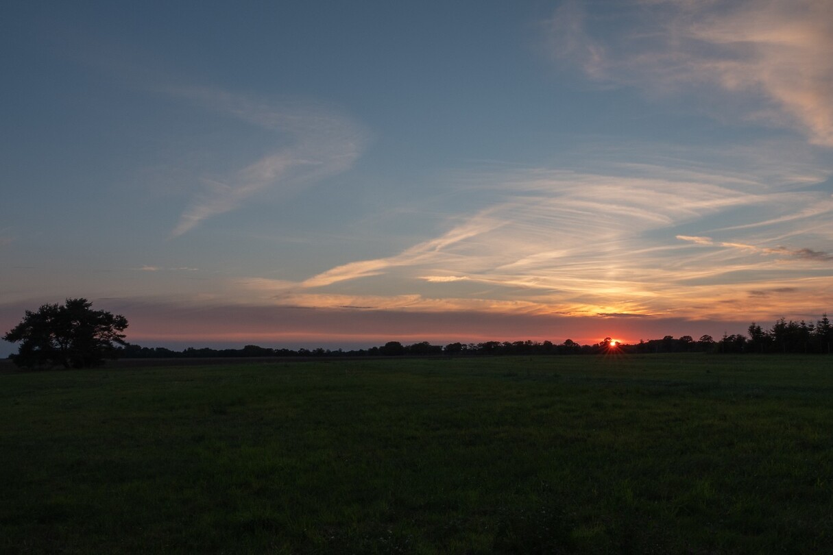 DSC07050