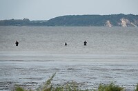 DSC07072