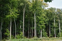 DSC07090