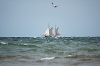 DSC07144
