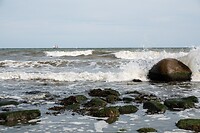 DSC07153