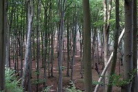 DSC07160