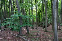 DSC07170