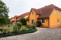 DSC07226