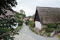 DSC07276