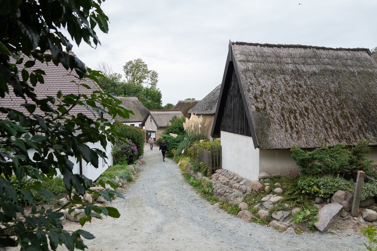 DSC07276