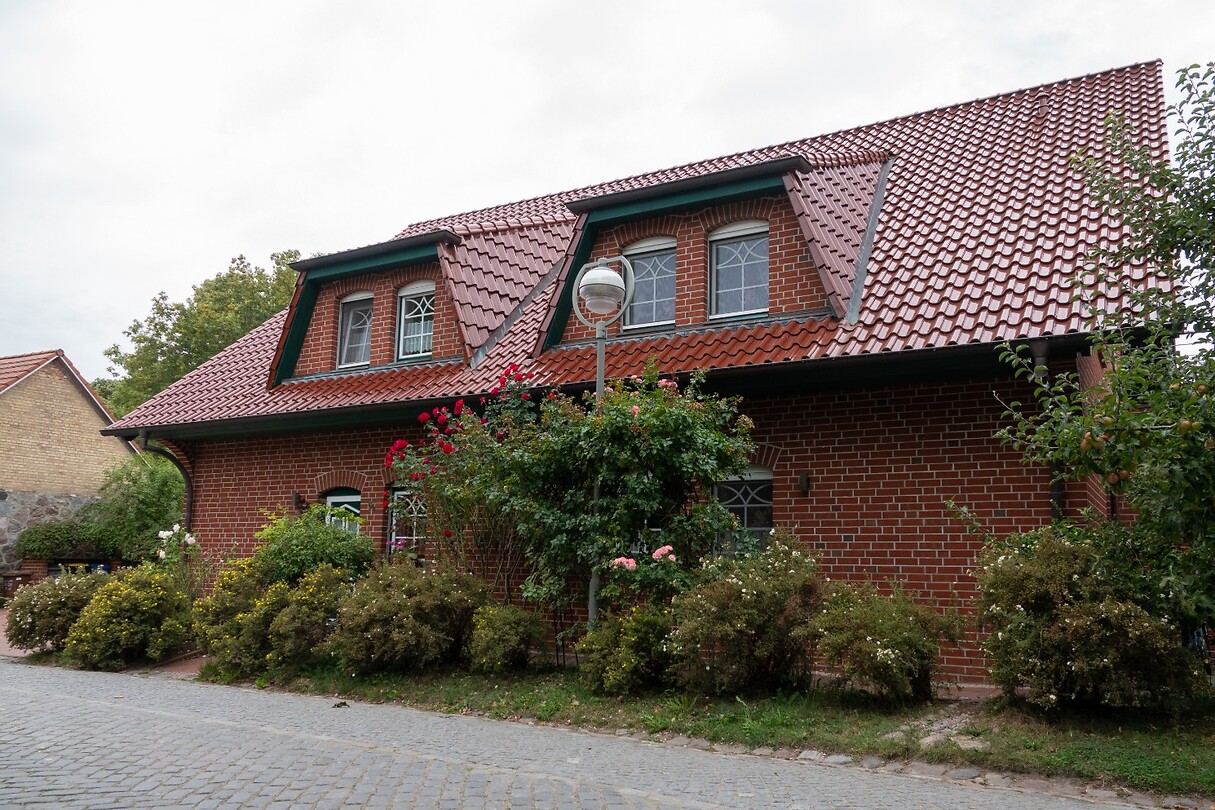 DSC07345