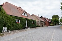 DSC07346