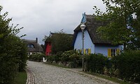 DSC07348 p