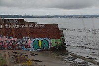 DSC07520