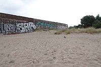 DSC07522