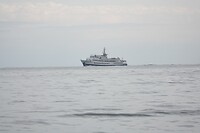 DSC07531