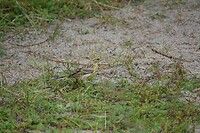DSC07569