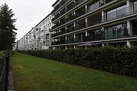DSC07574