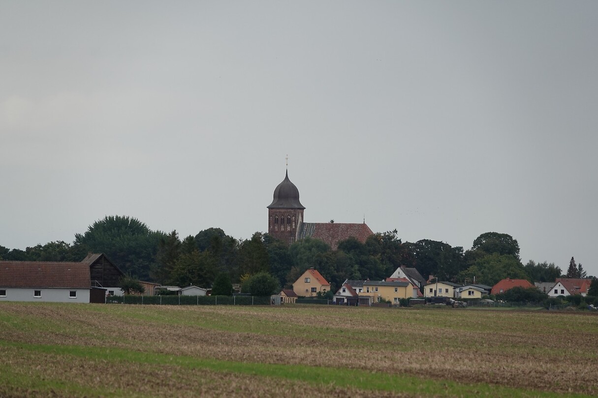 DSC07595
